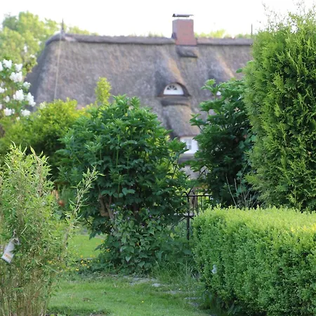 Deichstern