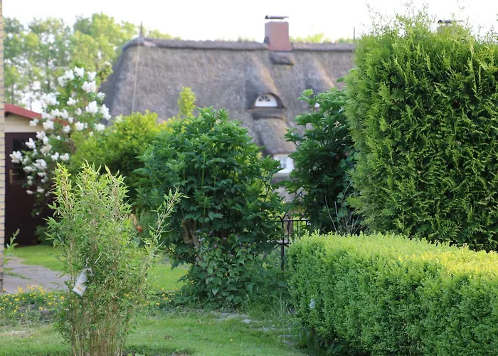 Deichstern Büsumer Deichhausen